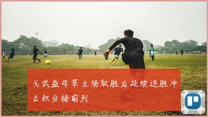 戈武益母草主场取胜后延续连胜冲击积分榜前列