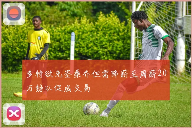 多特欲免签桑乔但需降薪至周薪20万镑以促成交易