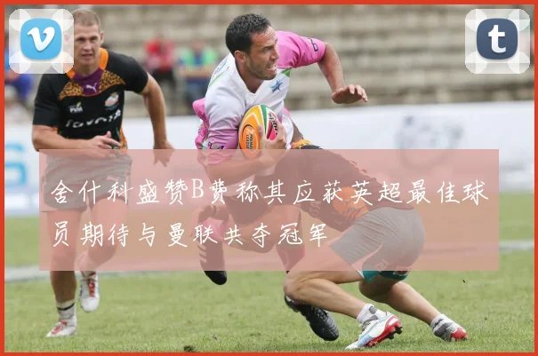 舍什科盛赞B费称其应获英超最佳球员期待与曼联共夺冠军