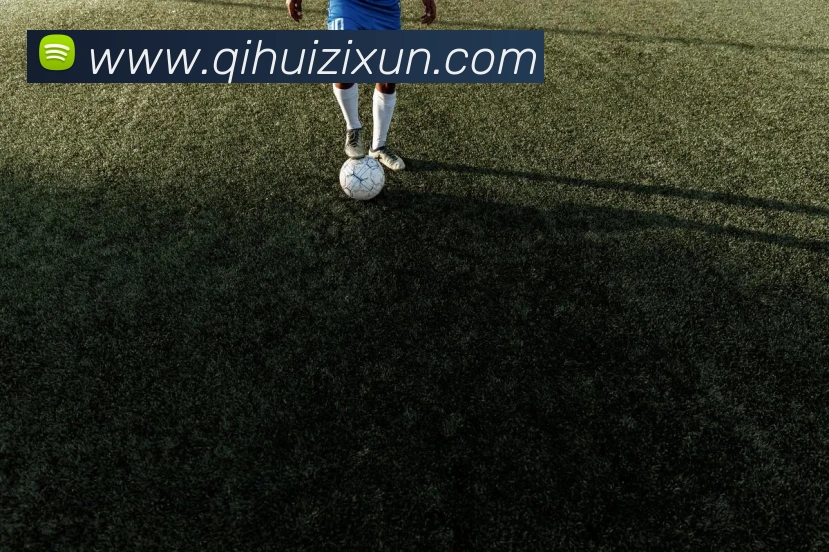 hth网站登录入口服务体系